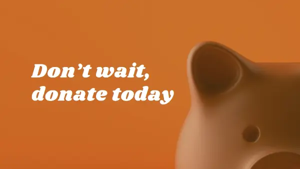 Don't wait, donate orange modern-simple