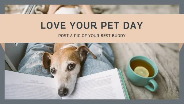 Fur the love of pets gray modern-simple