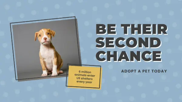 Second chance pup blue modern-bold