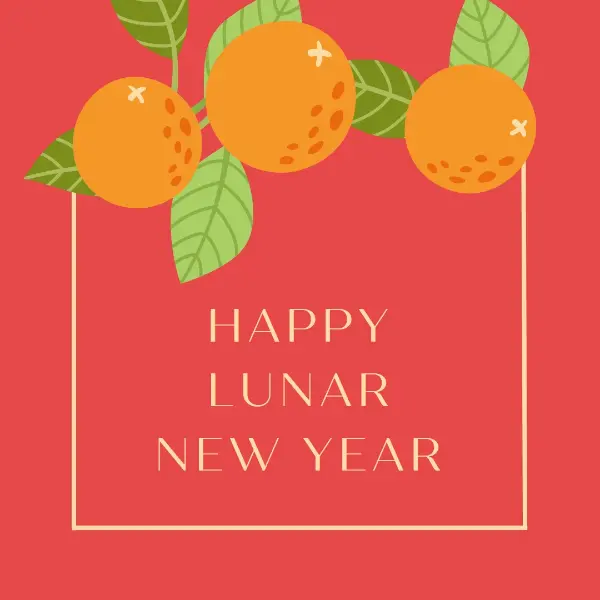 Cheer for Lunar New Year red modern-simple