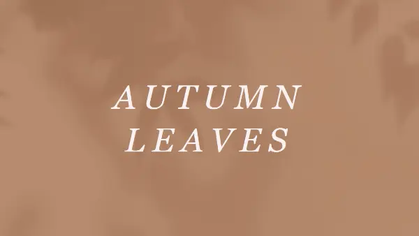 Get to the autumn of it brown modern-simple