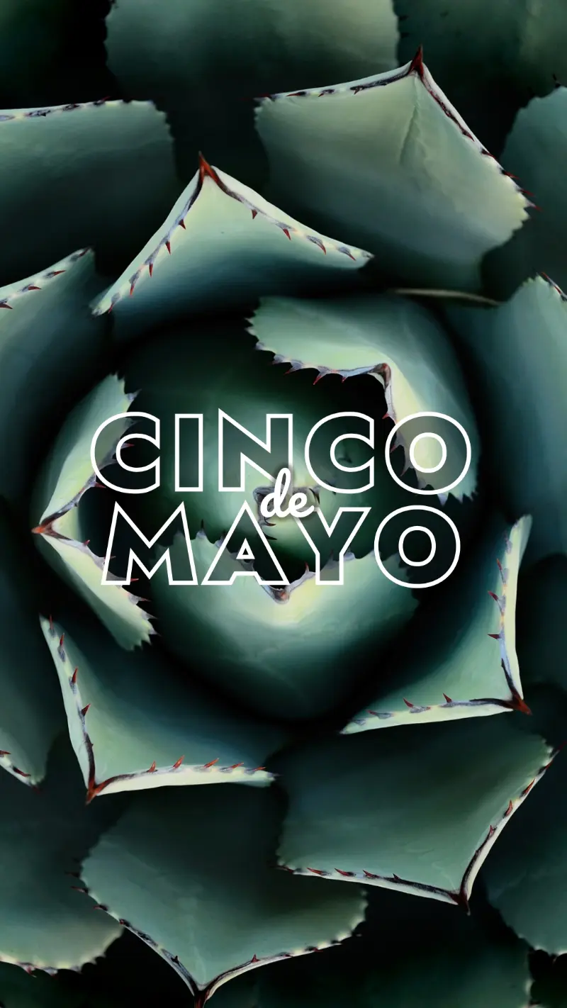 Celebrate Cinco de Mayo green modern-bold