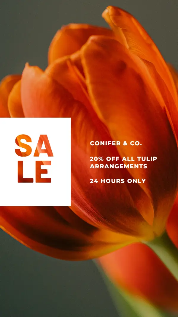 Read my tulips orange modern-simple
