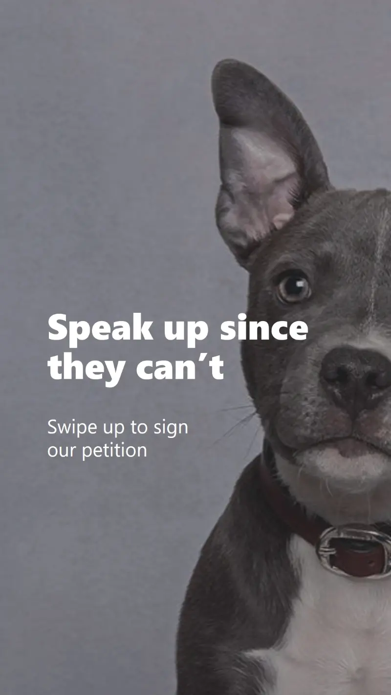 Speak up for animals gray modern-simple