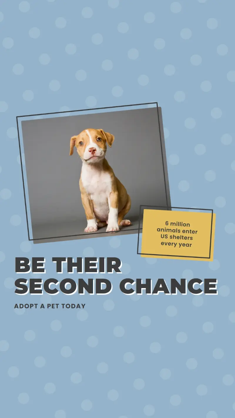 Second chance pup blue modern-bold