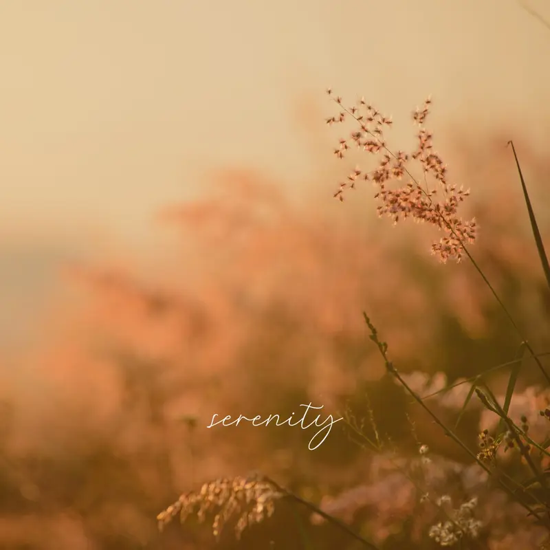 Fields of serenity Brown modern, minimal, nature, quiet, soft, plants