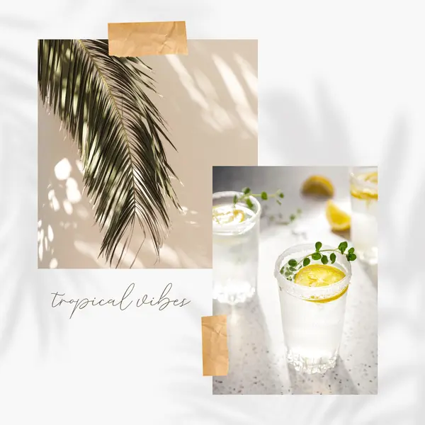 Tropical cocktail vibes White photographic, collage, minimal, scrapbook, handwriting, botanical,