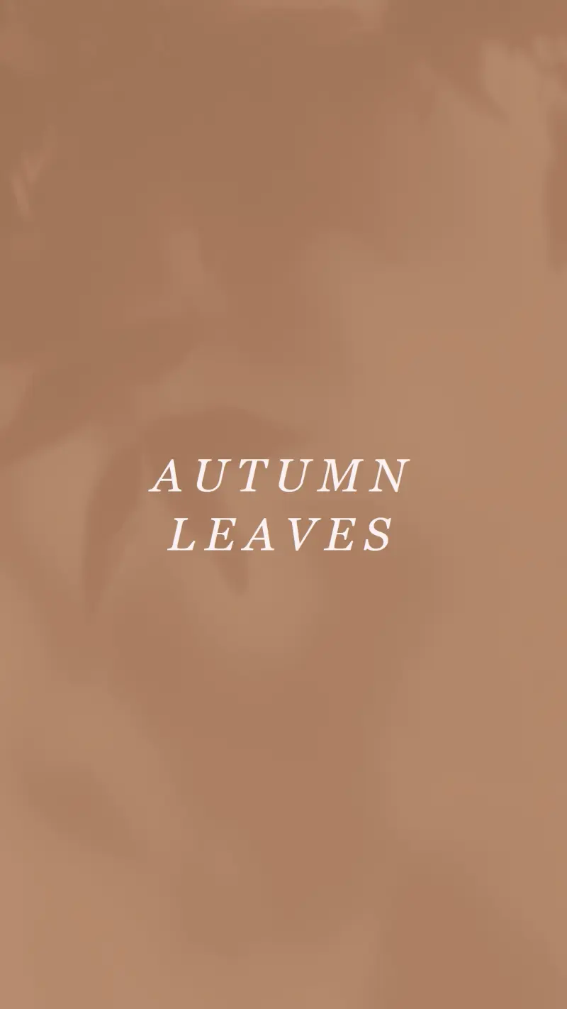 Get to the autumn of it brown modern-simple