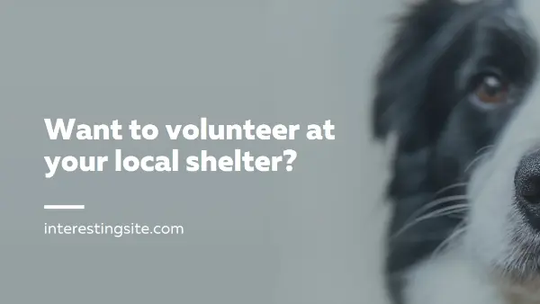 Volunteer and bring cheer blue modern-simple