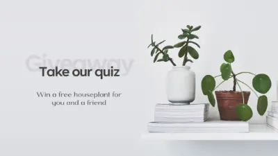 Pot quiz gray modern-simple
