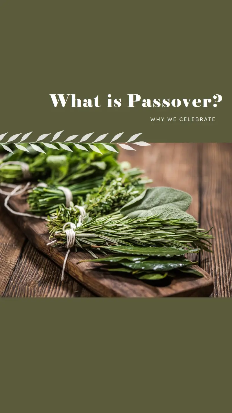 Happy Passover holiday green modern-simple