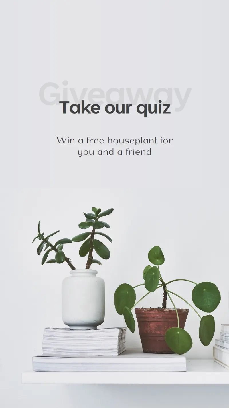 Pot quiz gray modern-simple