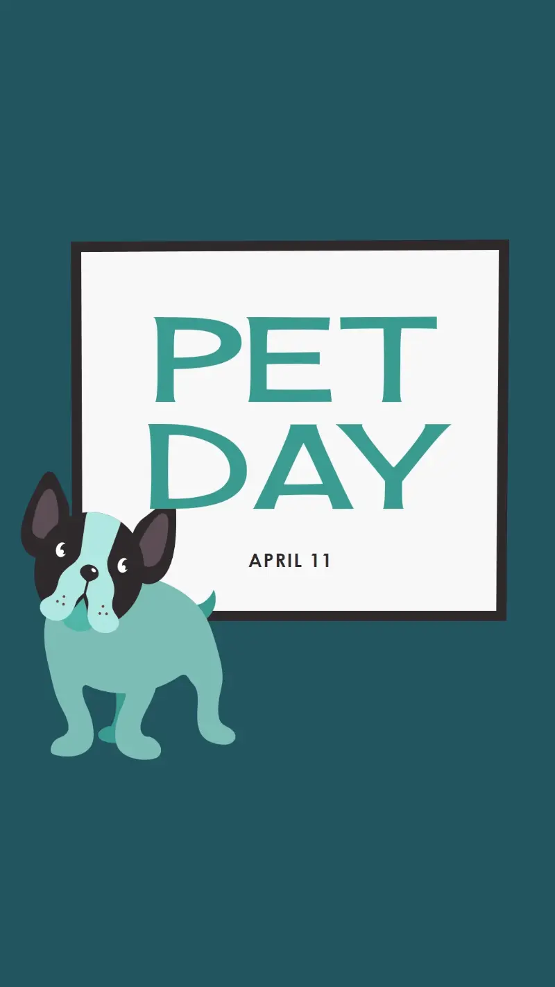 Prepare for Pet Day blue modern-color-block