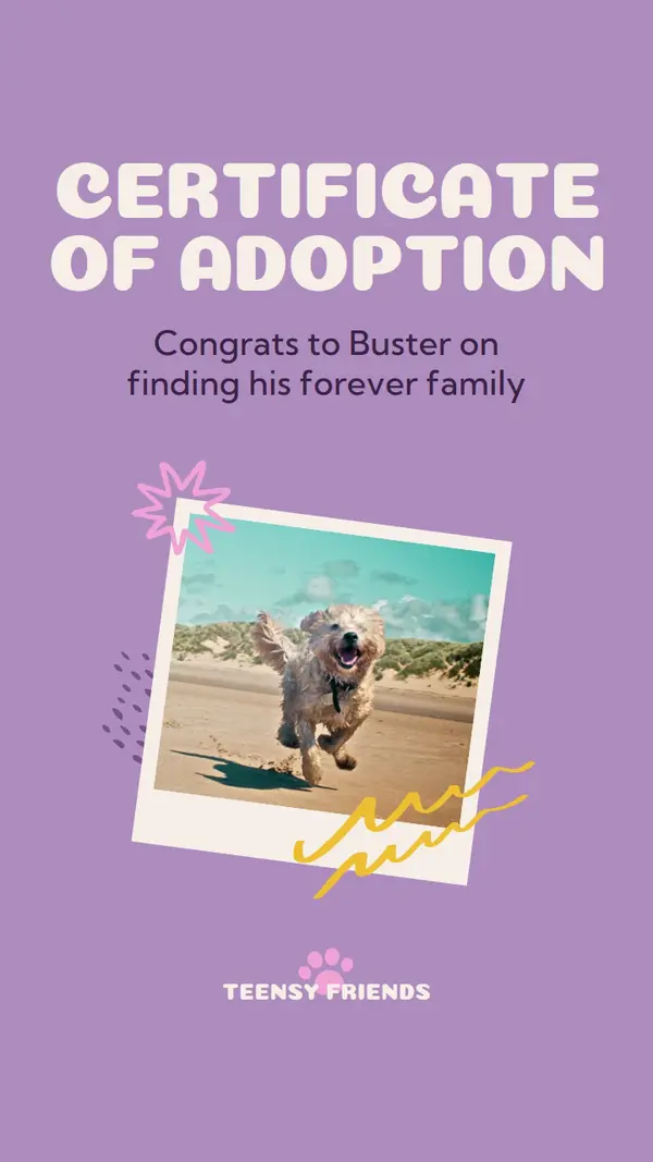 Certificate of dog adoption