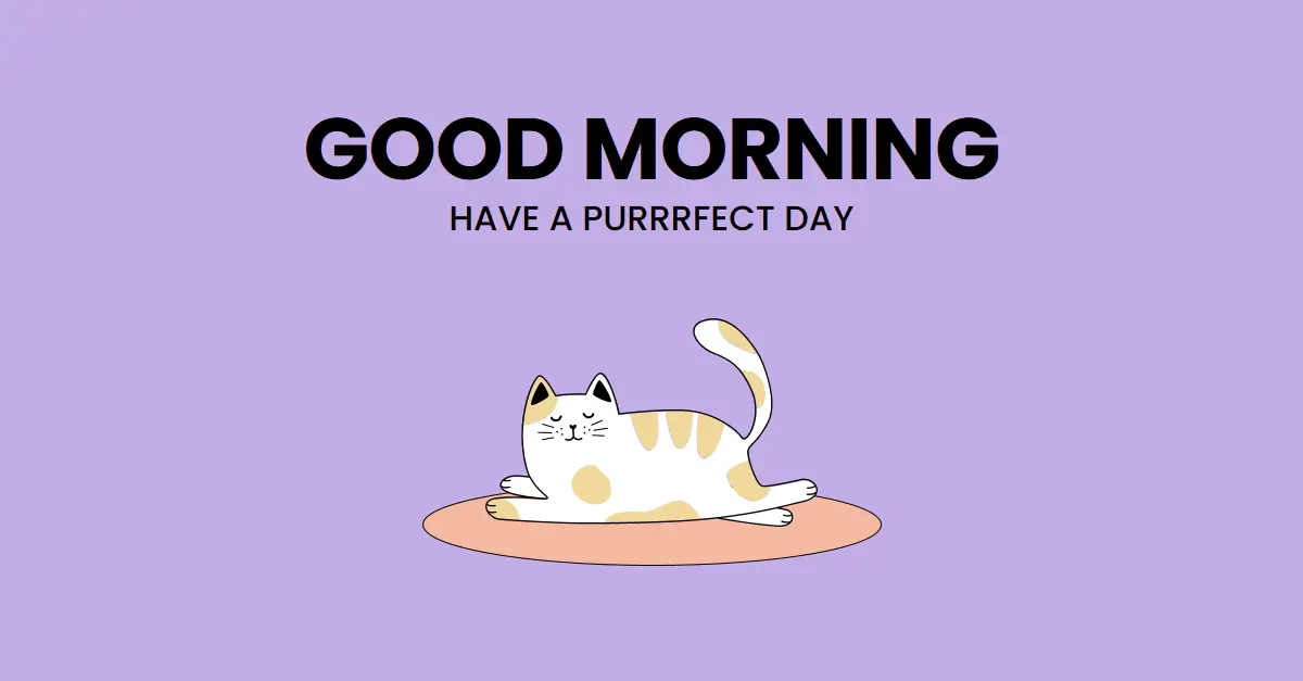 Have a purrfect day