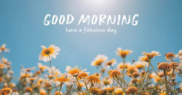 Have a fabulous day