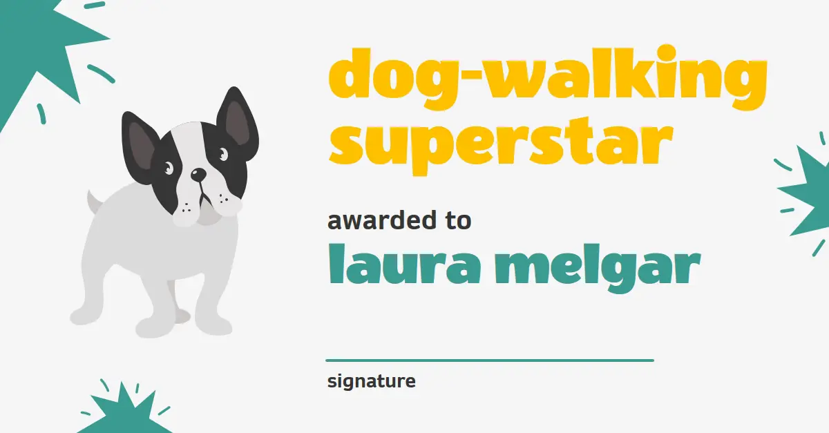Dog walking superstar