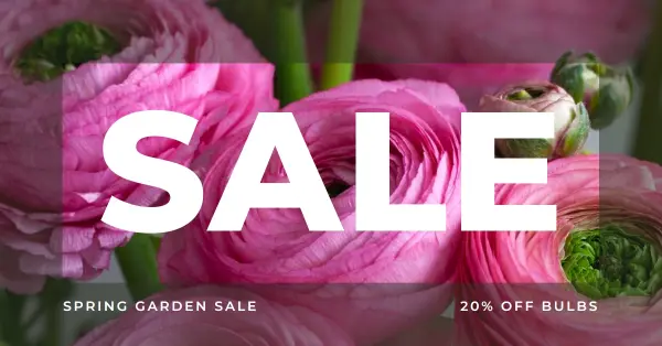 Spring gardens pink modern-simple