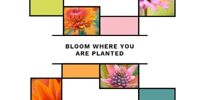 Bloom where you're planted white modern-geo-&-linear