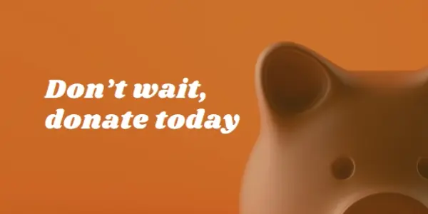 Don't wait, donate orange modern-simple