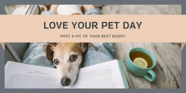 Fur the love of pets gray modern-simple