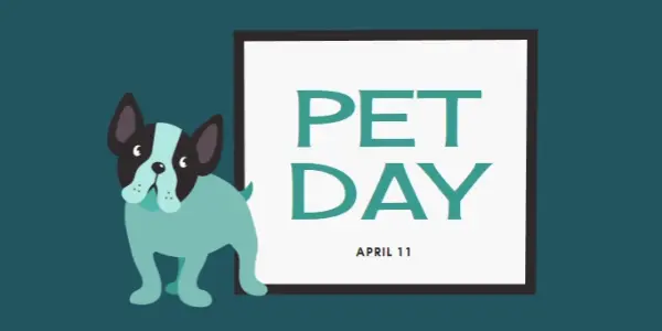 Prepare for Pet Day blue modern-color-block