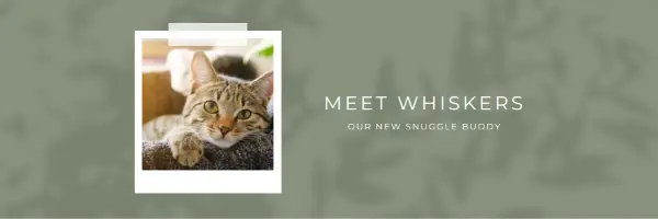 Purr-fect introduction green modern-simple