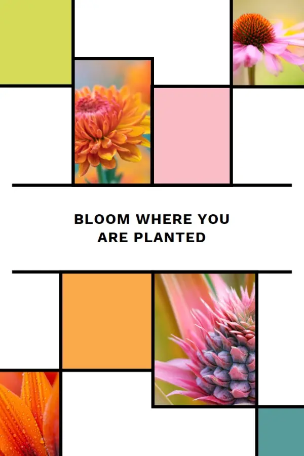 Bloom where you're planted white modern-geo-&-linear