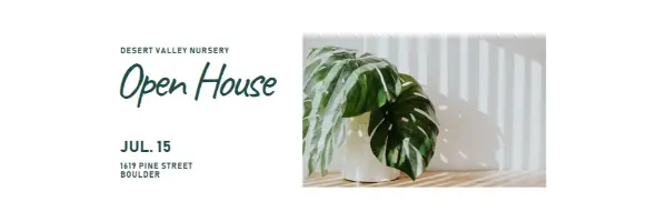 Open houseplant white modern-simple