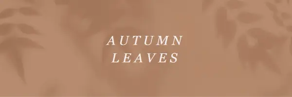 Get to the autumn of it brown modern-simple