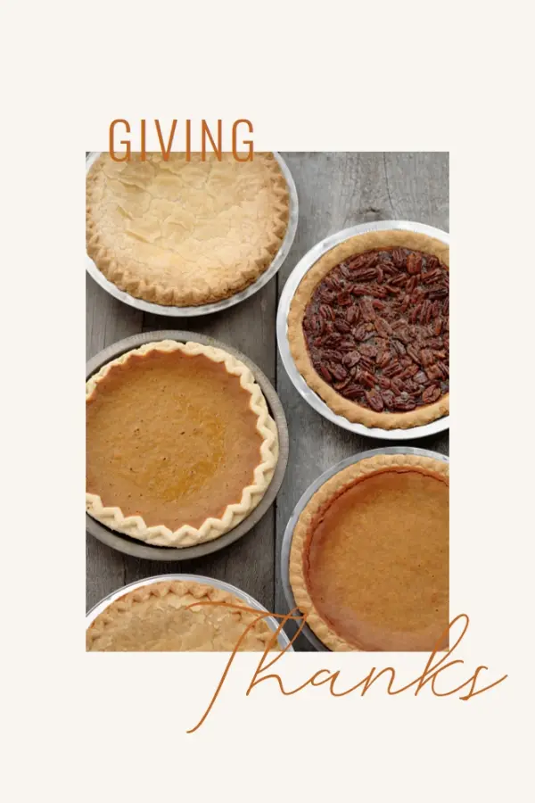 Hap-pie Thanksgiving white modern-simple