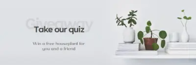 Pot quiz gray modern-simple