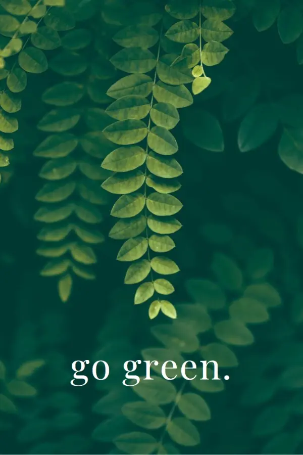 Into the goods green modern-simple