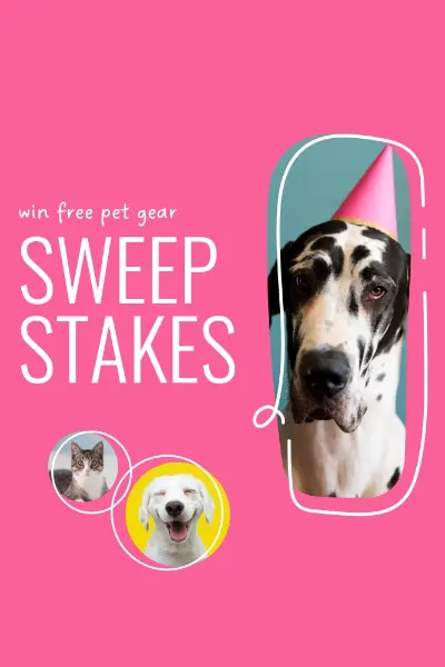 Super sweepstakes pink whimsical-line