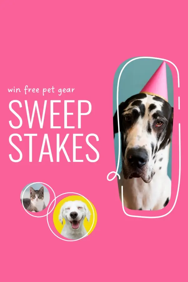 Super sweepstakes pink whimsical-line