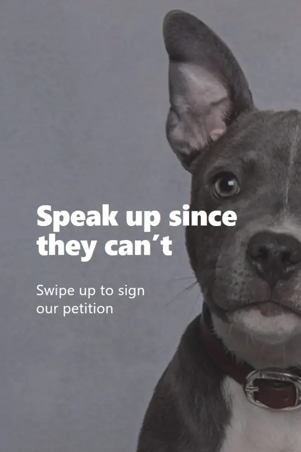 Speak up for animals gray modern-simple