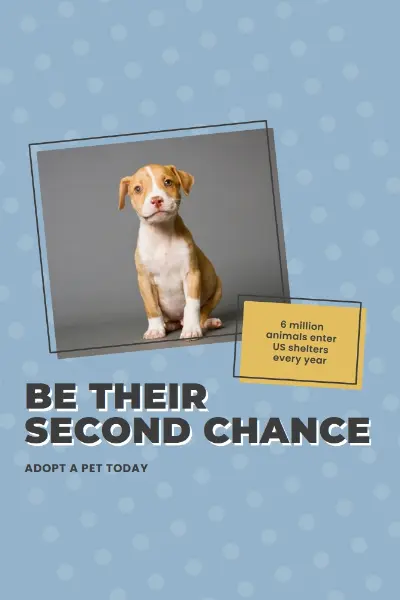 Second chance pup blue modern-bold