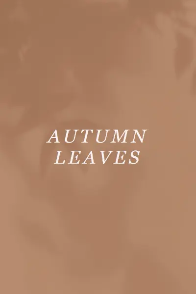 Get to the autumn of it brown modern-simple