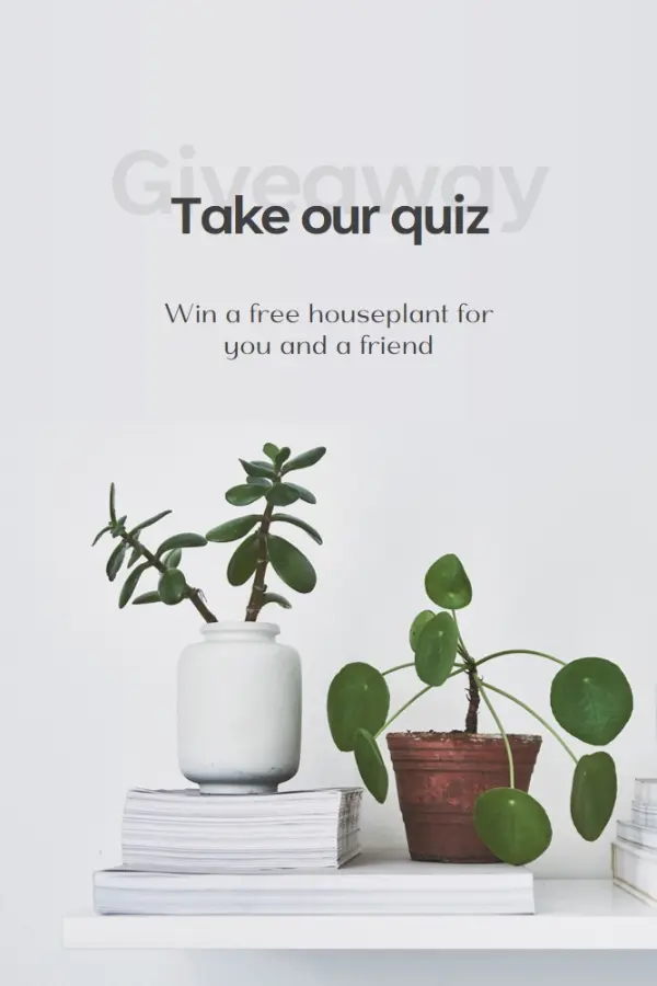 Pot quiz gray modern-simple