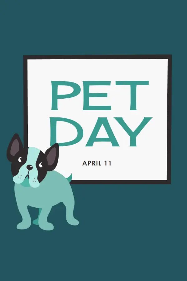 Prepare for Pet Day blue modern-color-block