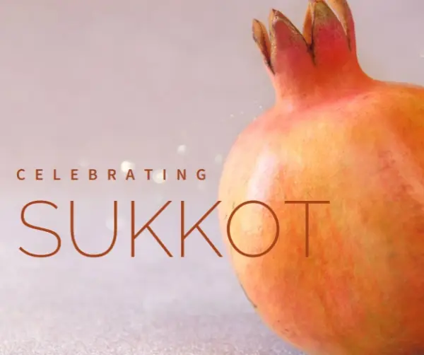 Sukkot abundance pink modern-simple