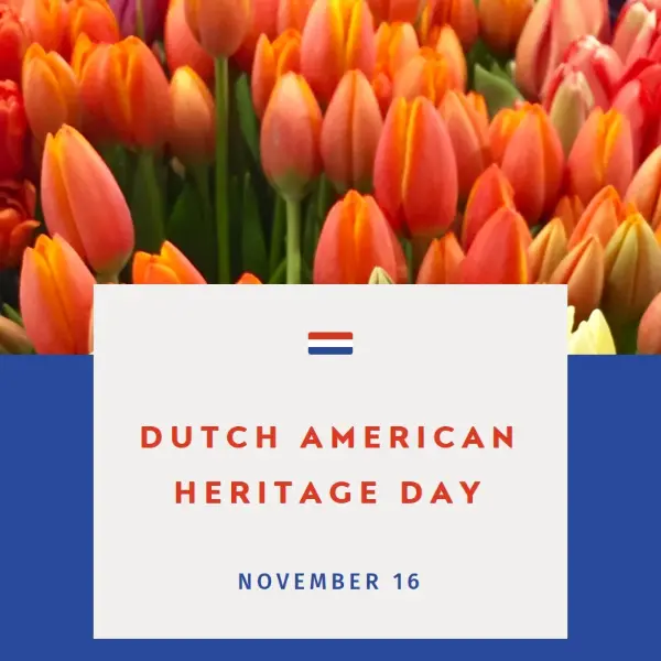 Celebrating Dutch roots orange modern-simple