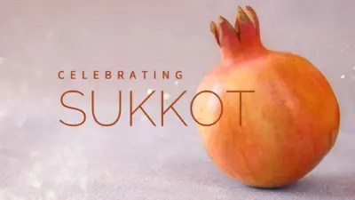 Sukkot abundance pink modern-simple