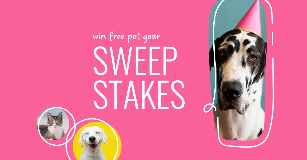 Super sweepstakes pink whimsical-line