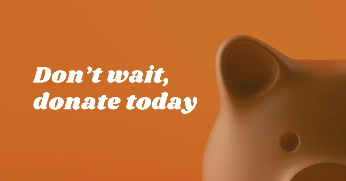 Don't wait, donate orange modern-simple