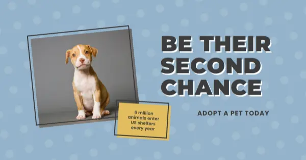 Second chance pup blue modern-bold