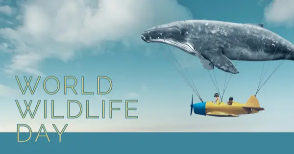 Whale tale blue modern-simple