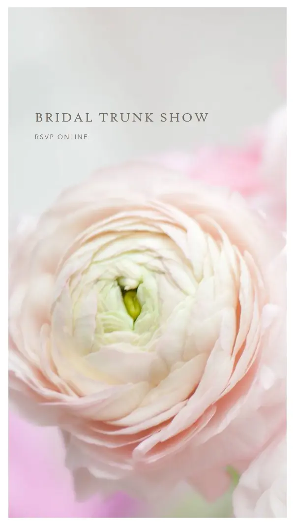 Bridal trunk show pink modern-simple