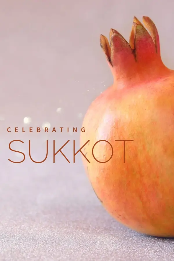 Sukkot abundance pink modern-simple