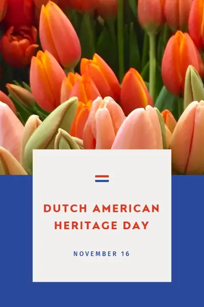 Celebrating Dutch roots orange modern-simple